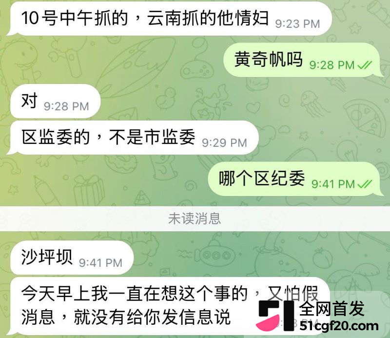 重庆原市长黄奇帆卸任近十年后被查 33