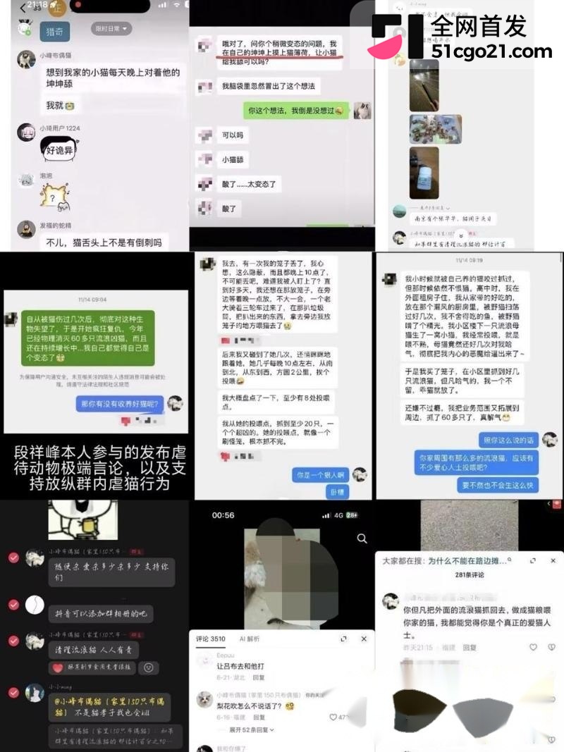 2121群聊虐猫言论拼图enhanced