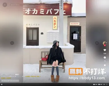 网红木木 6