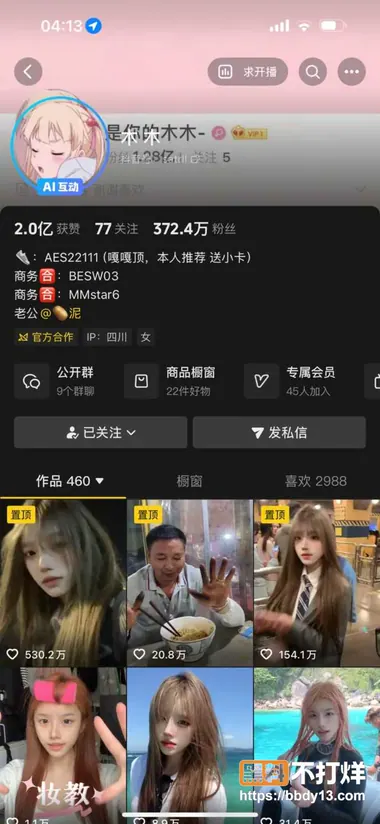 网红木木 13