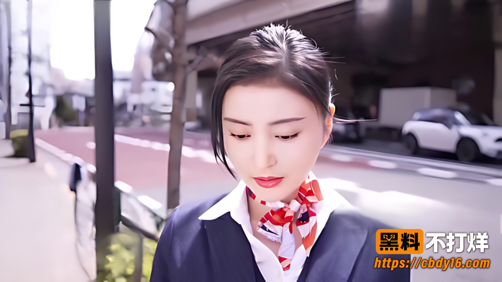 张天爱AI换脸视频身穿空姐制服被亲吻1