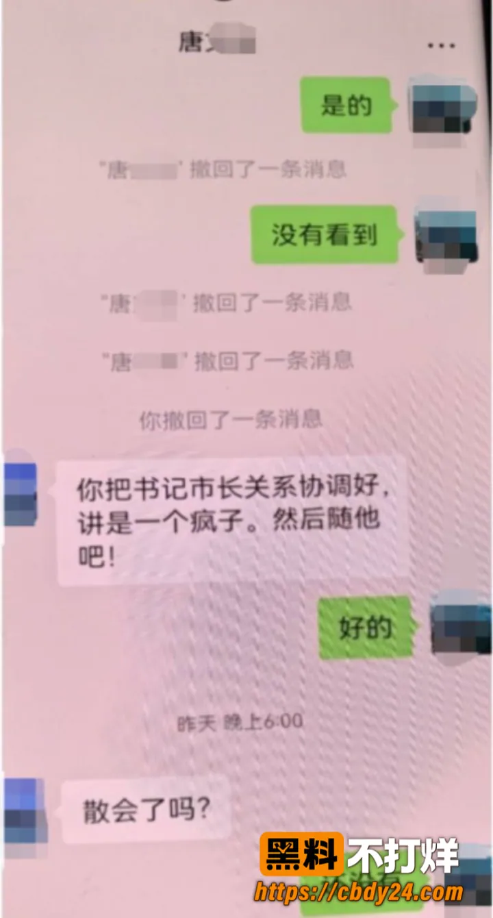湖南永州商务局长周晓芬29