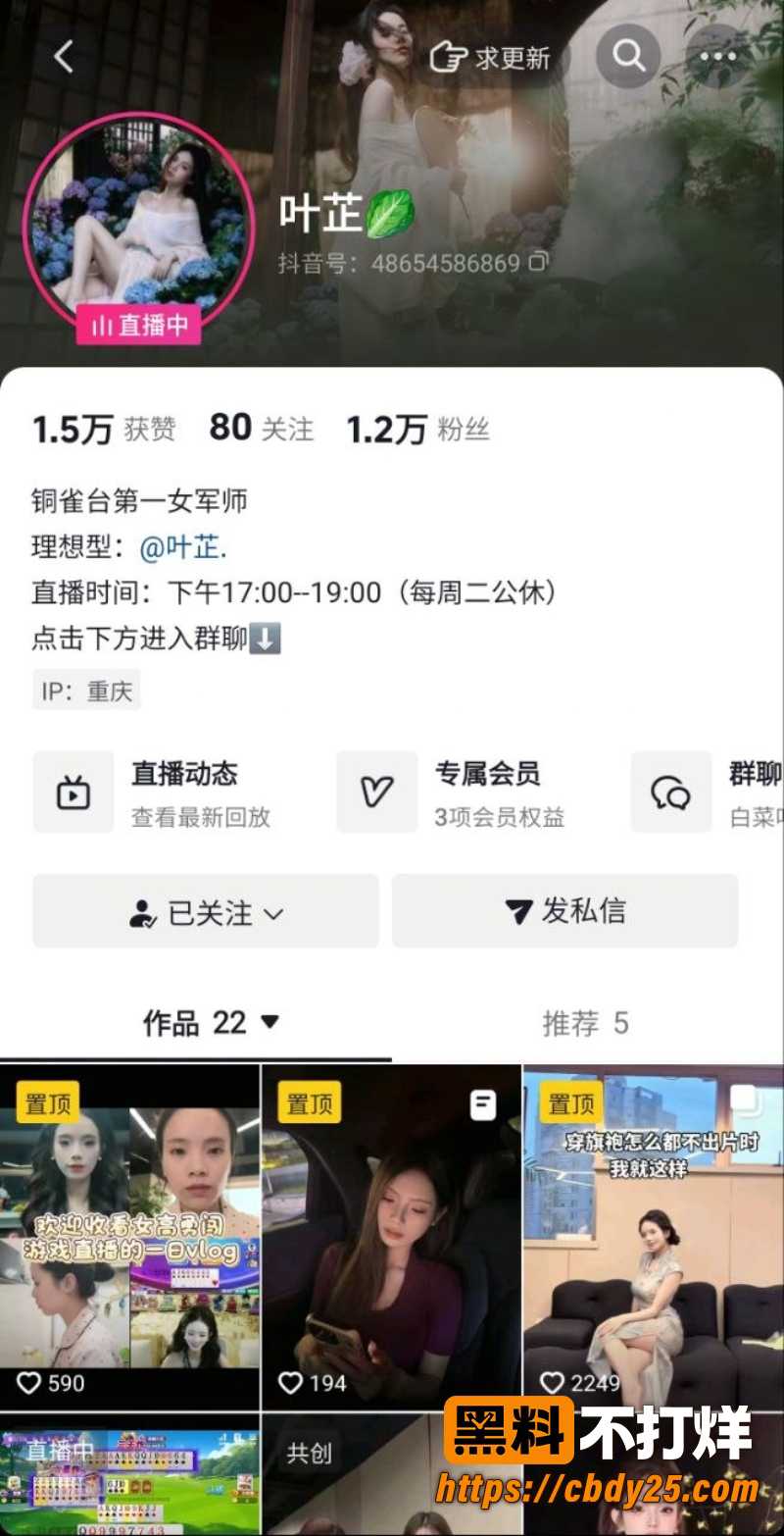 网红叶芷 1