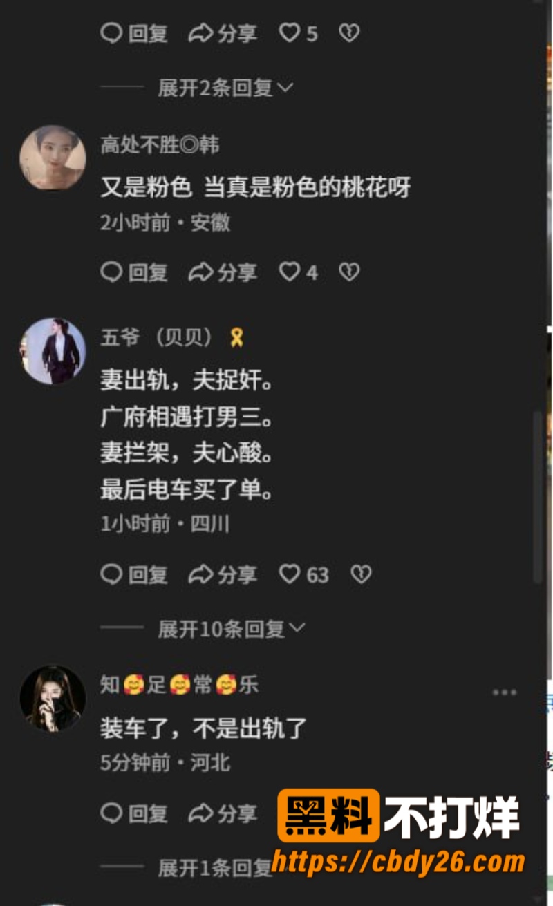 抓小三3