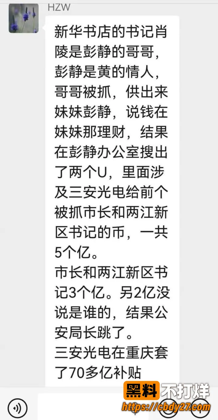 黄奇帆 5