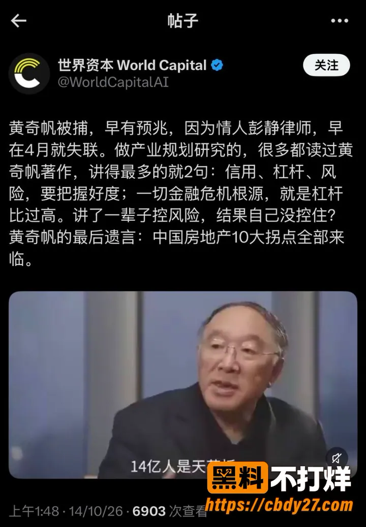 黄奇帆 11
