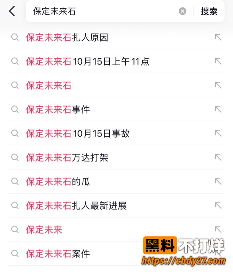 河北保定未来石突发杀人事件8