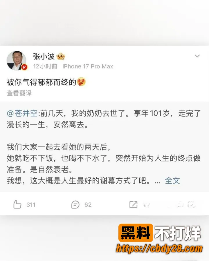 张小波 3