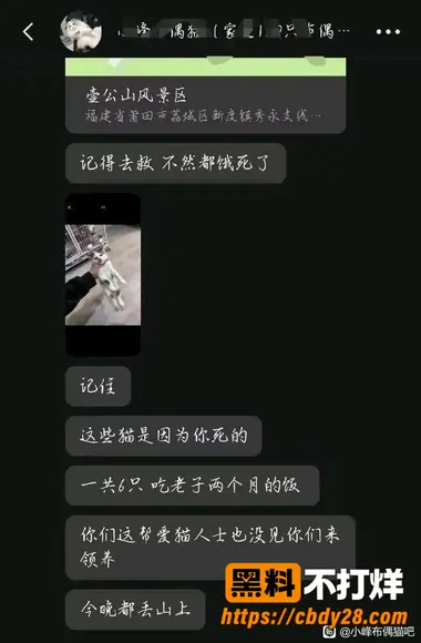 小峰20