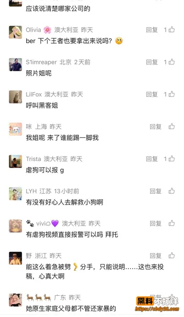 小H9