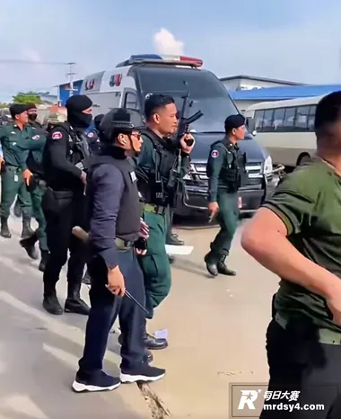 半岛电视台卧底调查 相关图片3